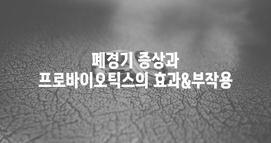 샘플 (68)