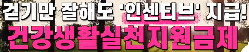 건강생활실천지원금제도