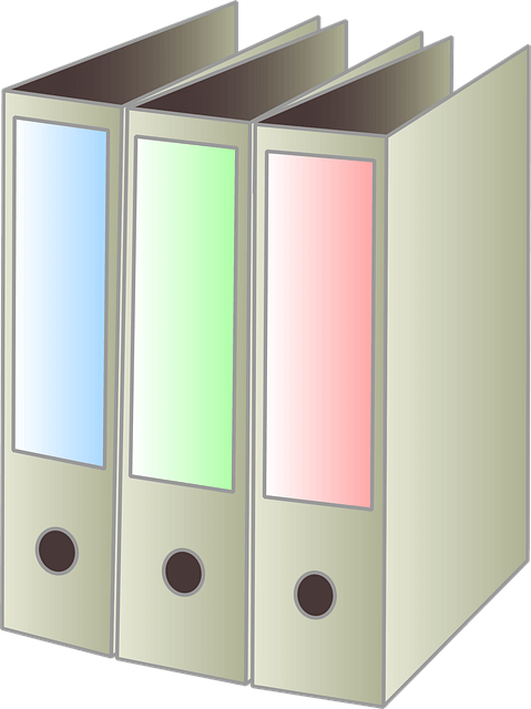 모바일 신분증 발급