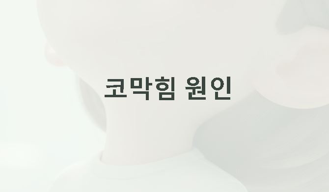 코막힘 원인 알아보기