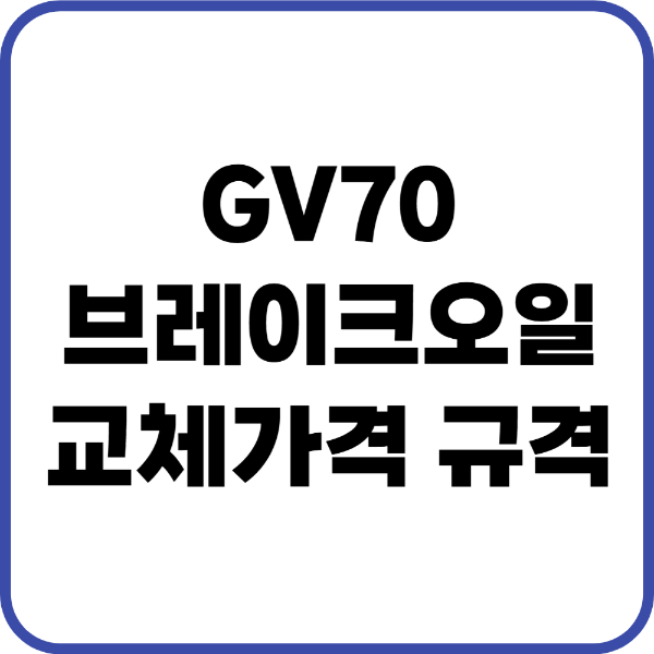 GV70 브레이크오일