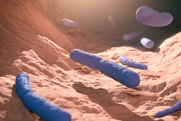 장염 먹어도 되는 음식 VS 안되는 음식을 잘 알아야 장염을 빨리 극복할 수 있다고 합니다. 장염은 아이부터 어른까지 누구나 걸릴 수 있는 질병이고 음식 때문에도 걸릴 수 있기 때문에 잘 숙지하시기 바랍니다.