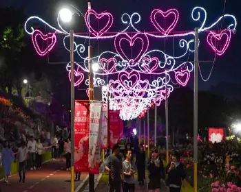 삼척 장미축제_19