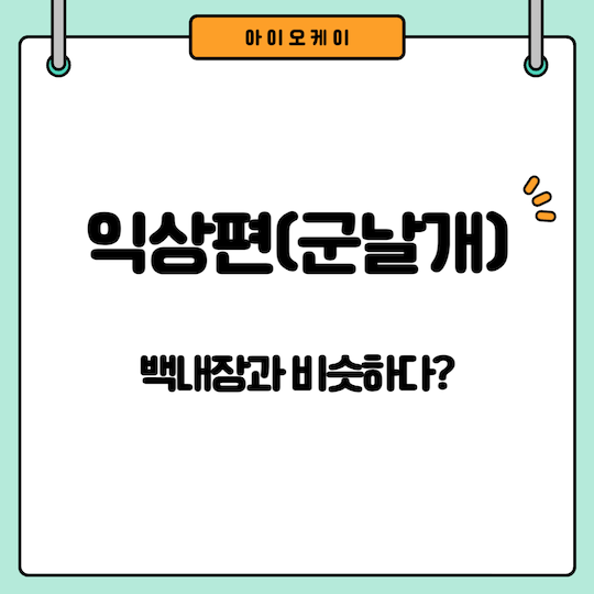 익상편-군날개-백내장-비슷