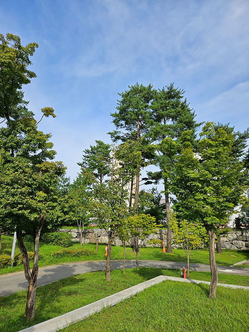 광교호수공원 가족캠핑장 전경6