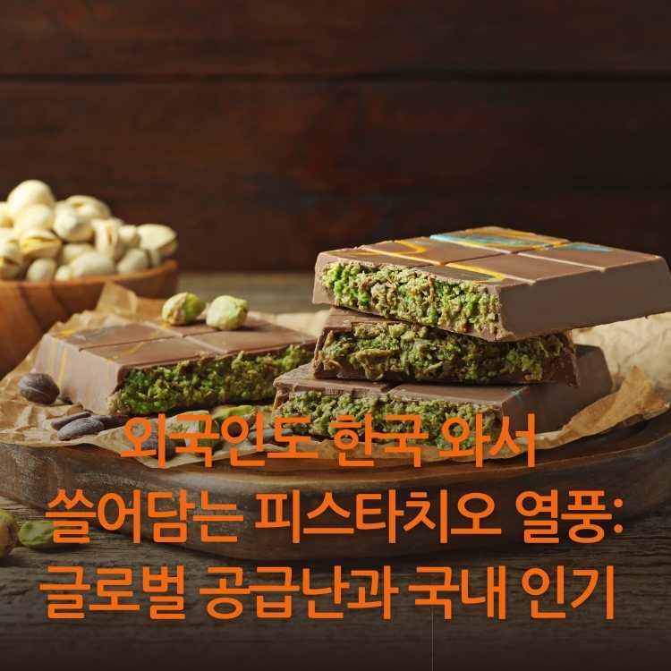 &lt;img src=&quot;외국인도-한국-와서-쓸어담는-피스타치오-열풍.jpg&quot; alt=&quot;피스타치오로-만든-두바이-초콜릿의-이미지&quot;&gt;