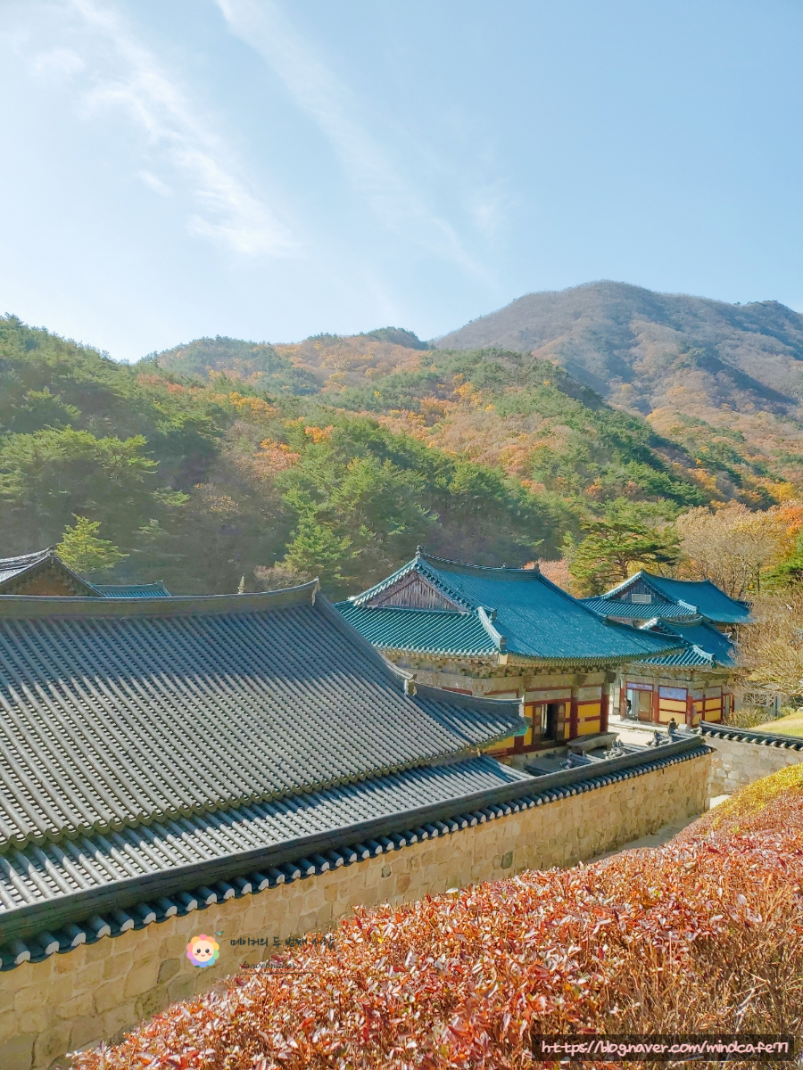 울산 석남사 단풍