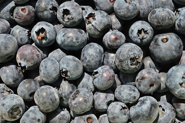 빌베리 하루섭취량 가격비교 성분