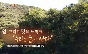 한국인의밥상