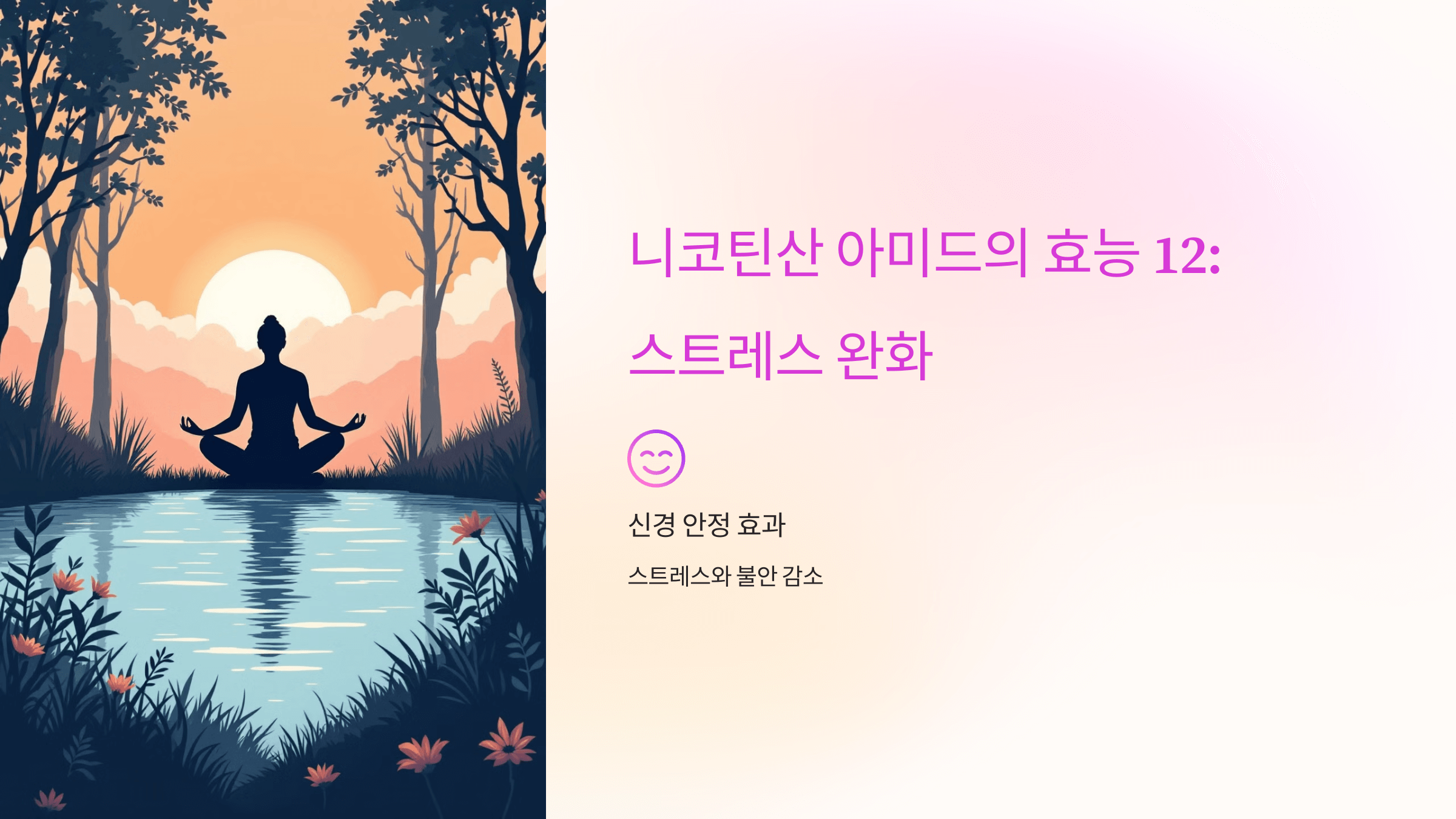 니코틴산 아미드와 관련된 사진입니다.