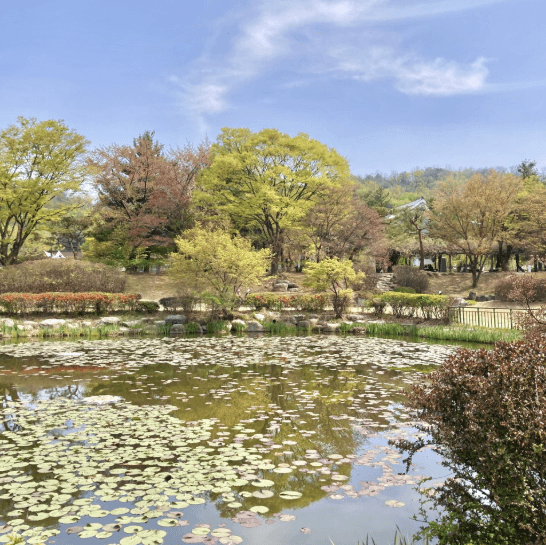국립서울현충원