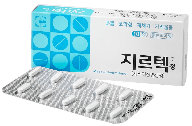 알레르기 비염약 솔직후기