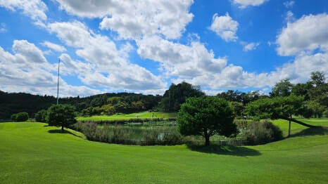 골프장 경험담 남여주cc 대중제 골프장의 최고 골프장 
