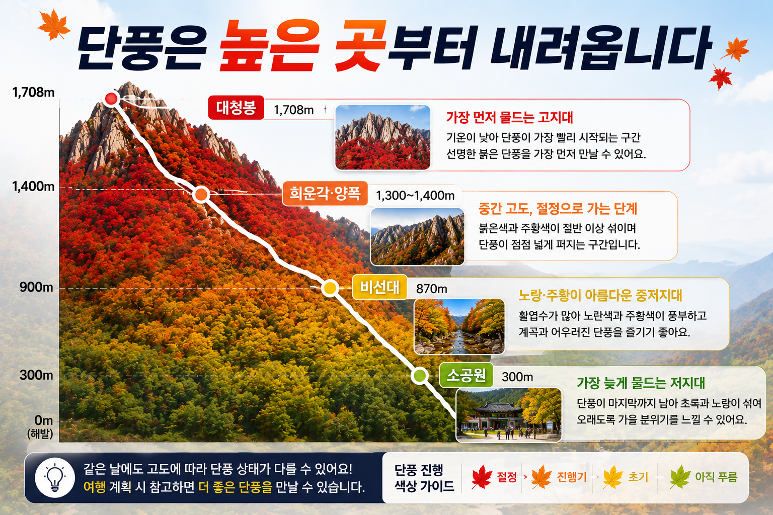 설악산 대청봉 비선대 소공원 고도별 단풍 진행 비교