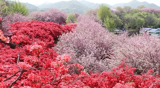 전주 완산공원1