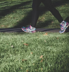 비만 치료 방법 진단기준 예방법