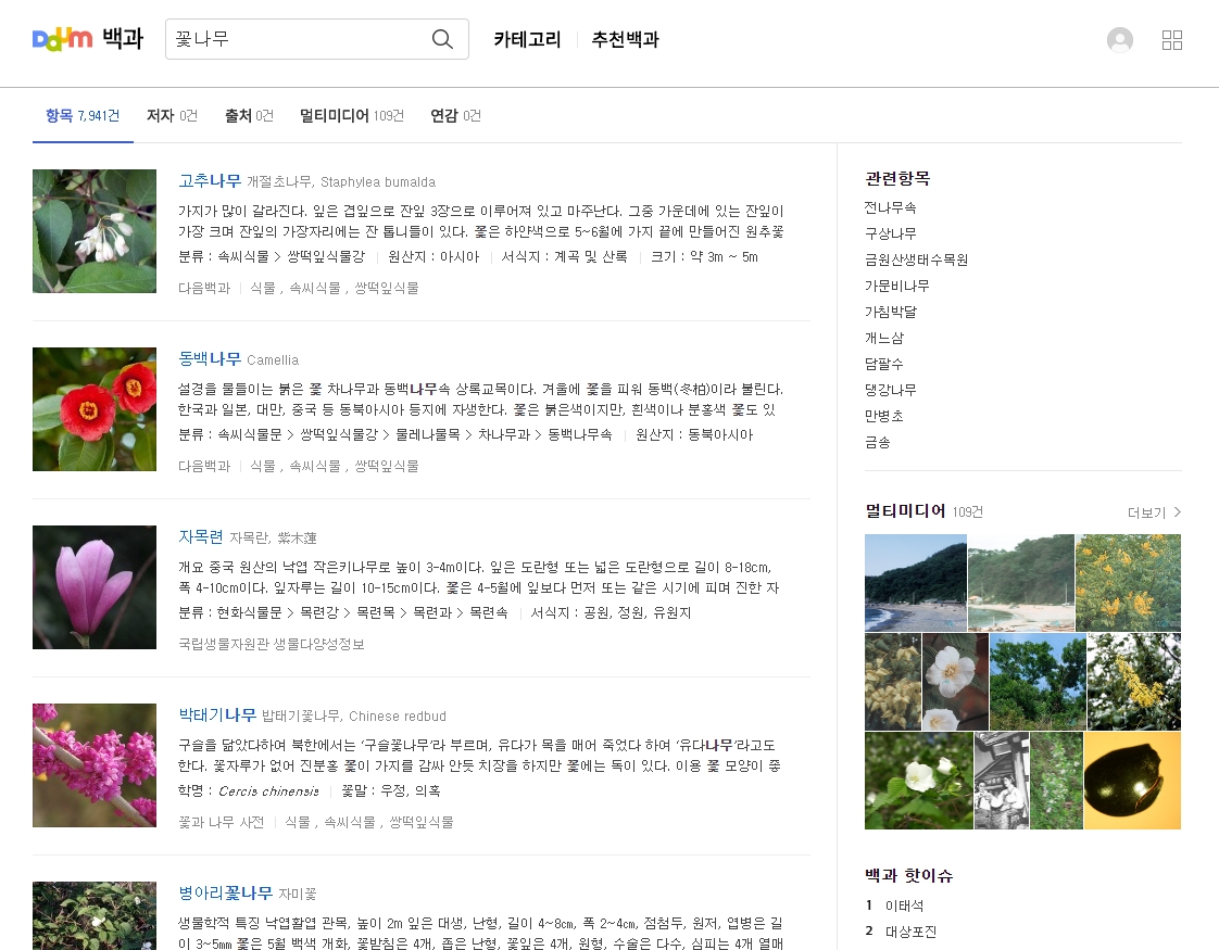 붉은색과 자색의 강렬한 색감이 돋보이는 동백나무와 자목련 꽃 사진