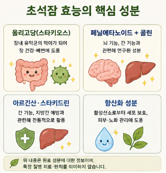 초석잠-효능-당뇨-효과-가격-부작용-먹는방법