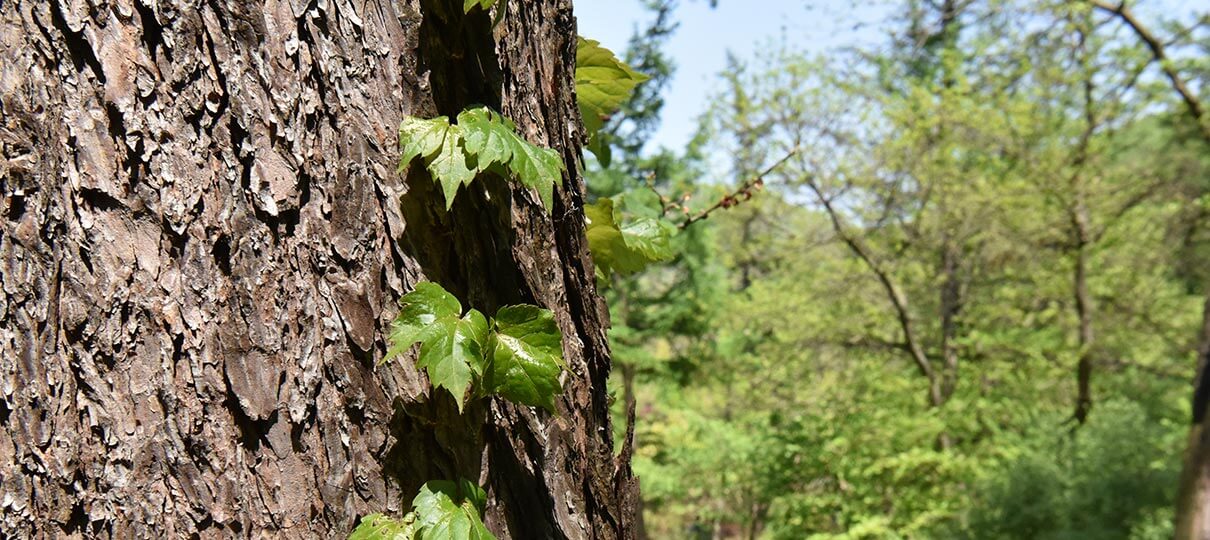 멍때리기 좋은 쉬자파크