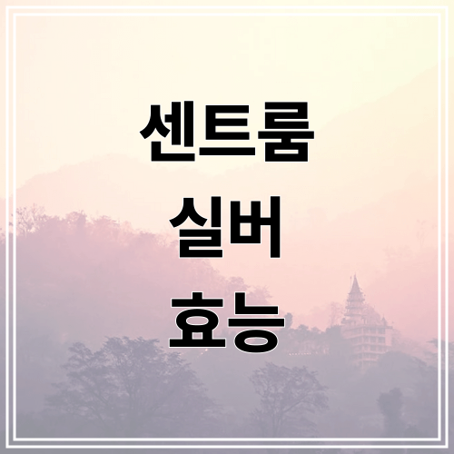 센트룸 실버 효능