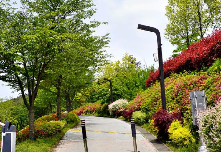 당진 삼선산수목원