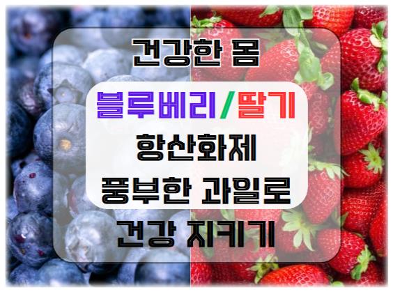 블루베리와 딸기: 항산화제가 풍부한 과일로 건강 지키기