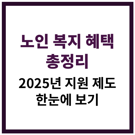 2025년 노인들을 위한 복지 혜택 제도 요약 안내 이미지