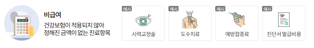 비급여 진료항목