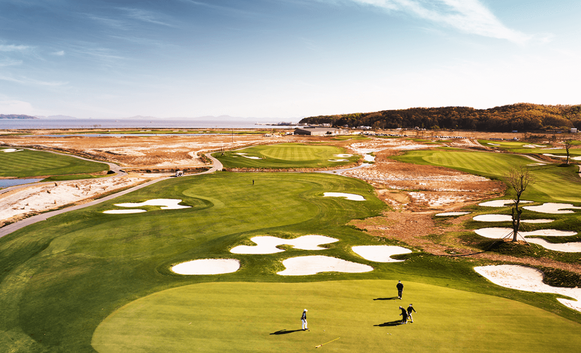 유니 아일랜드 cc