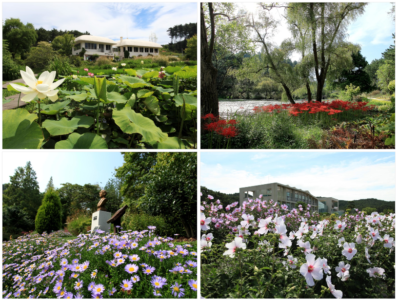 천리포수목원-여름풍경