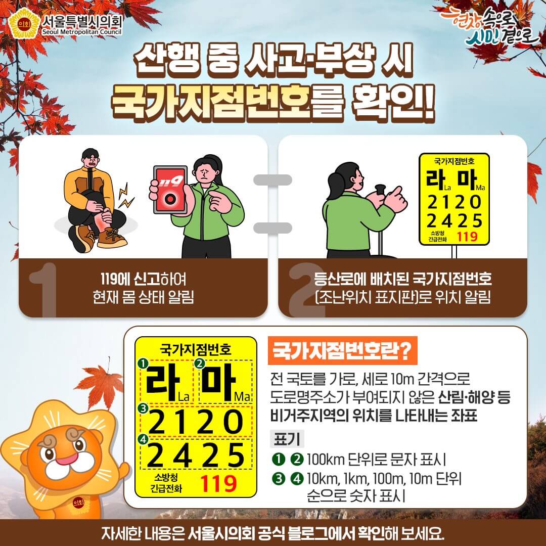 2024 단풍 절정 시기