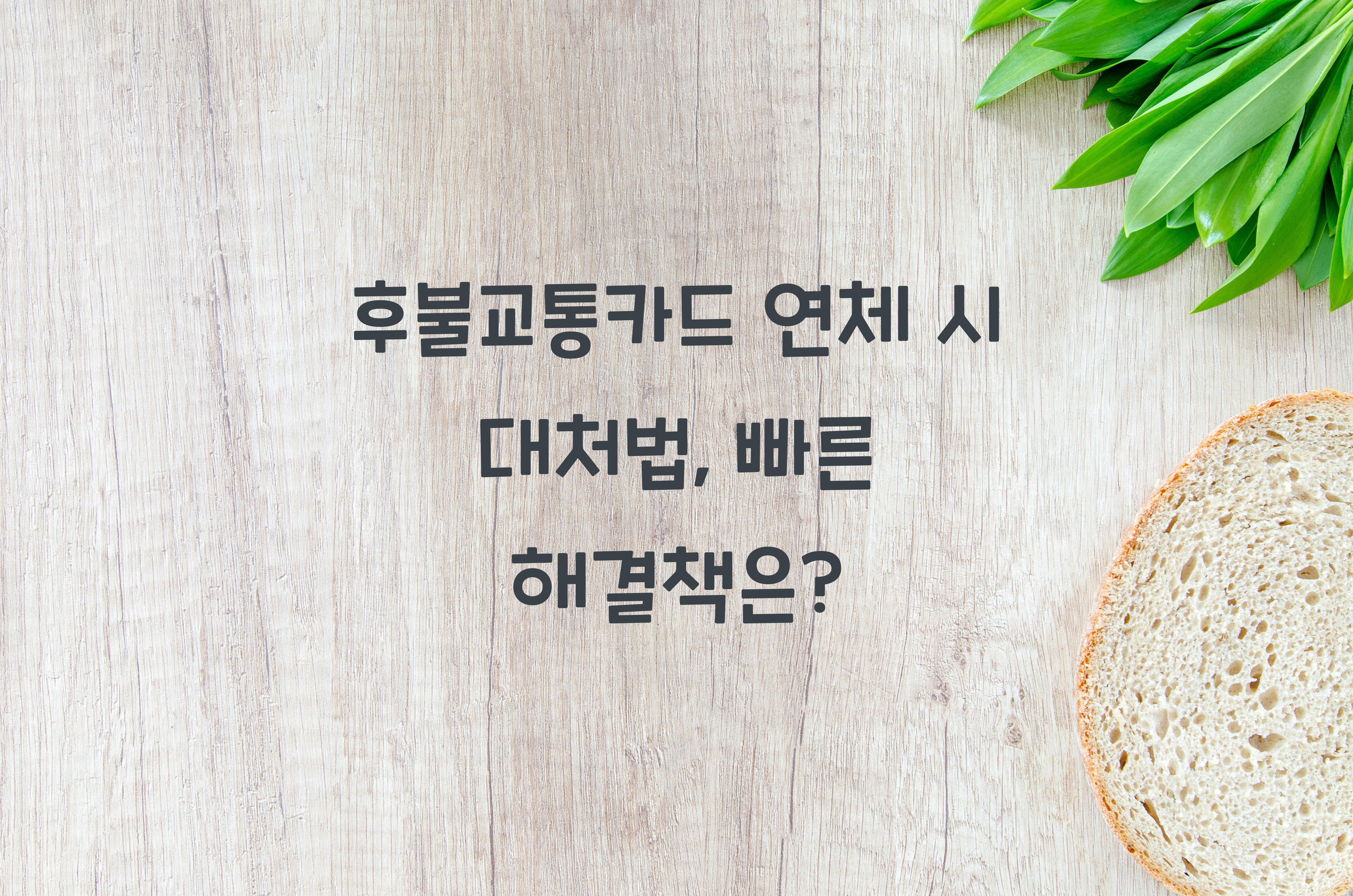 후불교통카드 연체 시 대처법