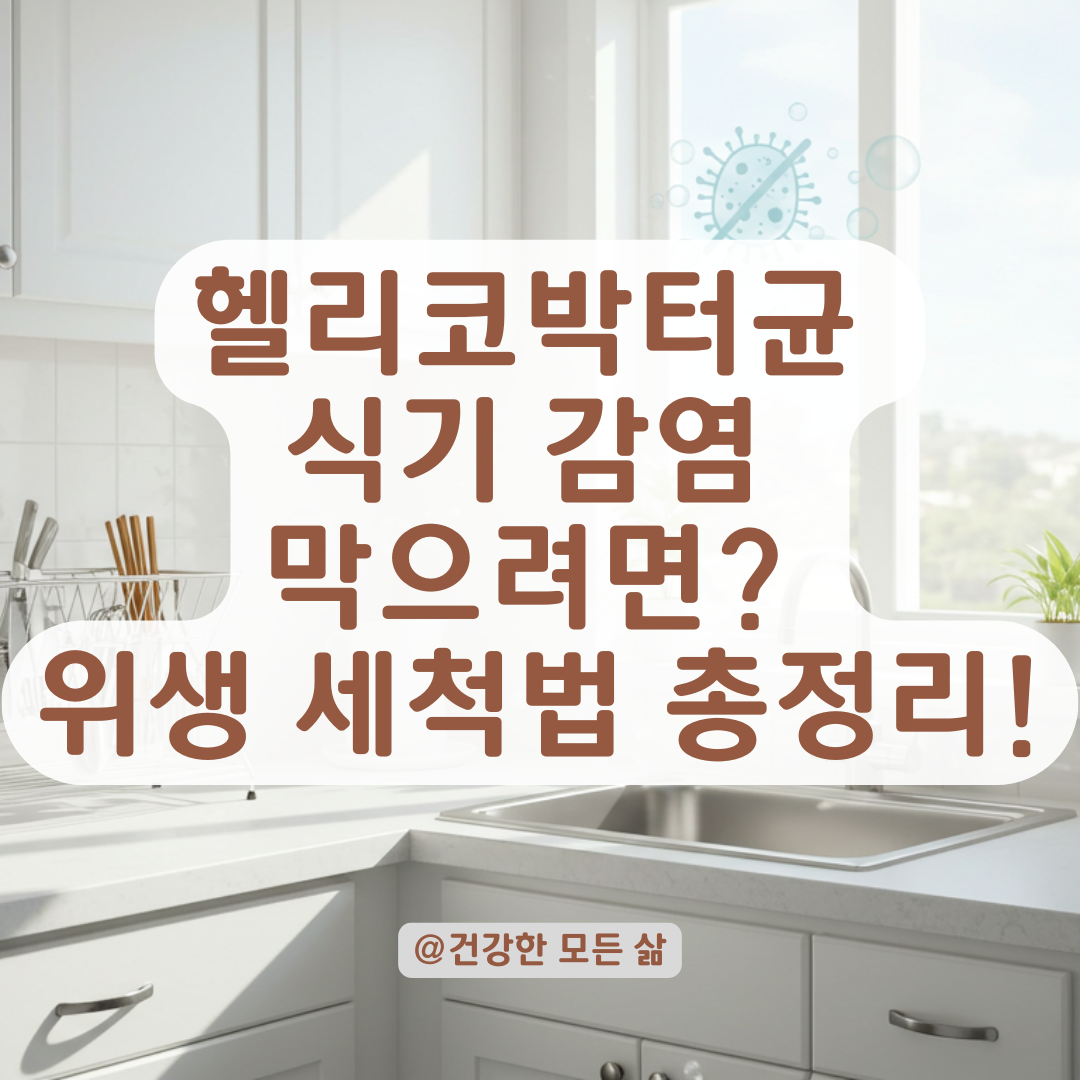 헬리코박터균 양성 가족이 쓴 식기, 안전하게 관리하는 세척법 알아보기.