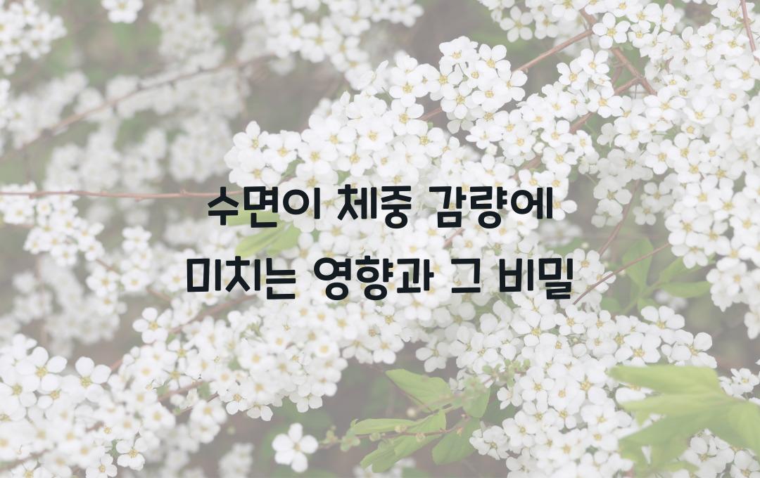 수면이 체중 감량에 미치는 영향