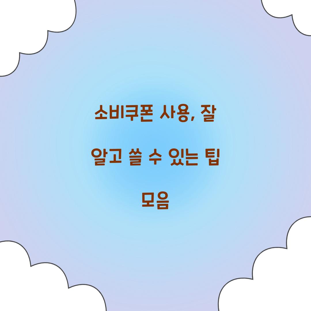 소비쿠폰 사용