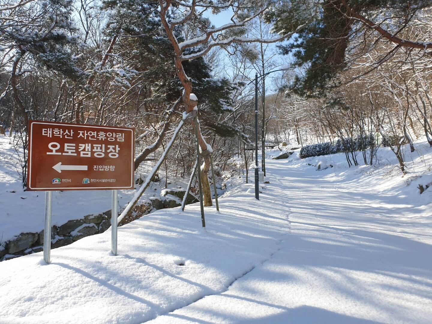 태학산 자연휴양림 온라인 예약하기 ❘ 숙소 야영장 캠핑장 실시간 예약 현황 보기 ❘ 충남 천안시