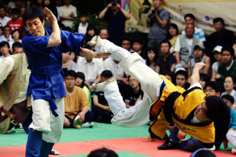 전통과 현대의 균형 속에서 바라본 태껸