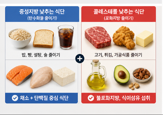 중성지방 vs 콜레스테롤 차이, 제대로 모르면 계속 수치 안 떨어진다