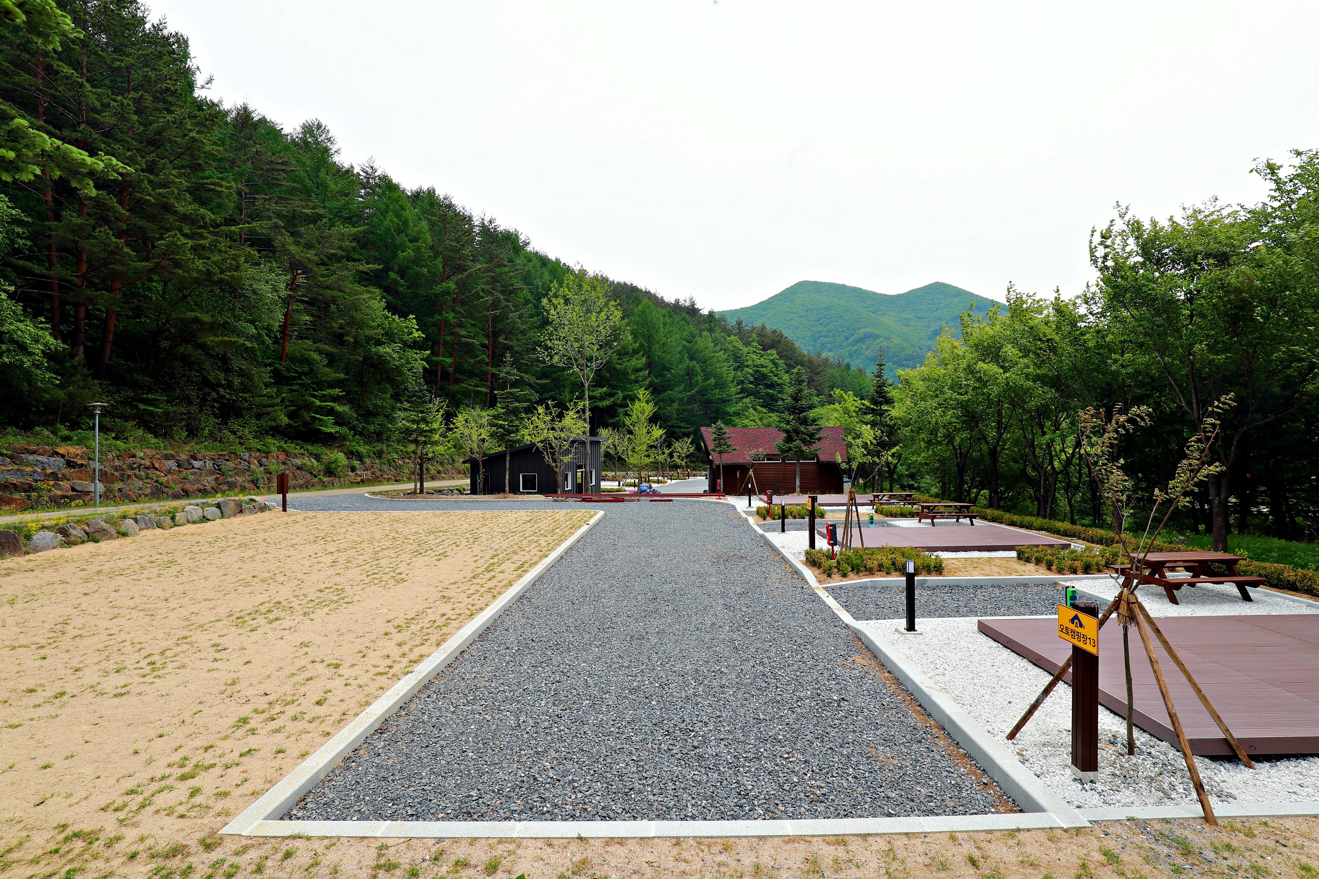 태백고원 자연휴양림 야영 캠핑장 주변 맛집 카페 마트 시장 특산물 강아지 동반 정보