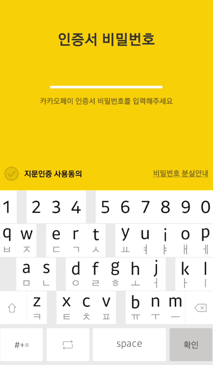 카카오-공동-인증서-비밀번호-입력하는-사진