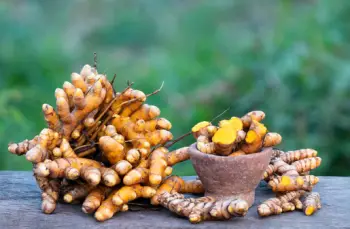 울금 효능 및 영양성분&amp;#44; 부작용과 주의점