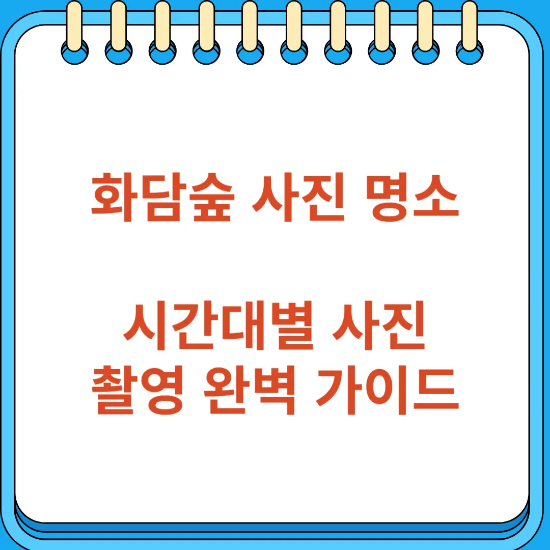 화담숲 사진 명소 시간대별 촬영 완벽 가이드