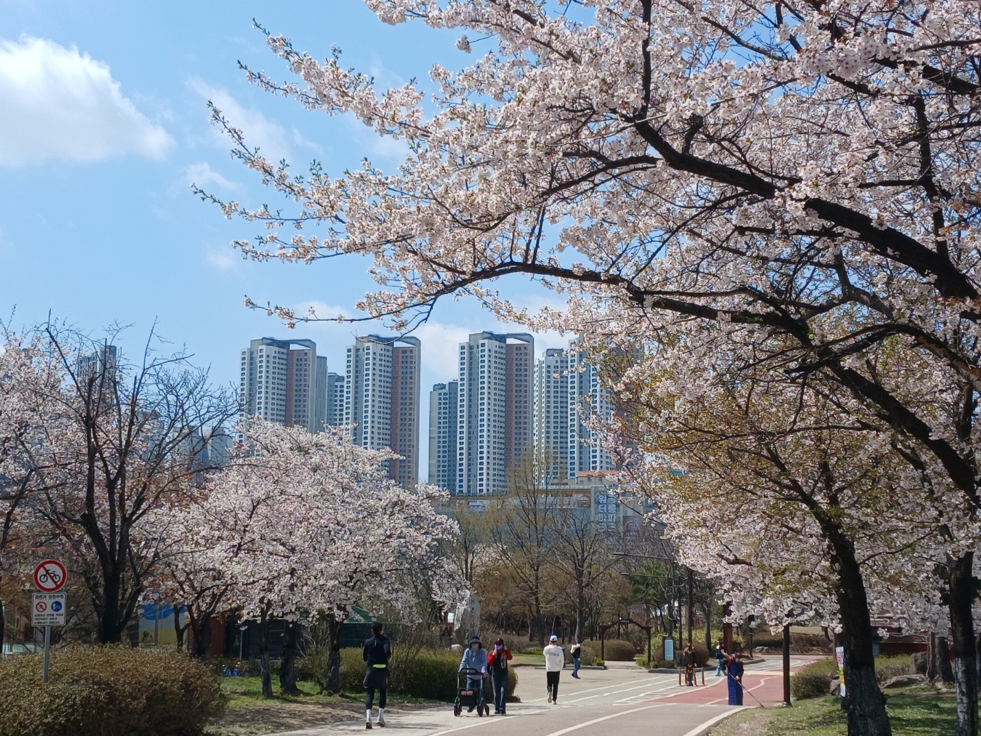 일산호수공원