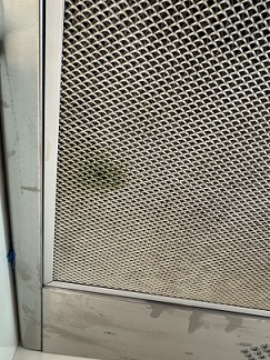 초록색 기름때 사진