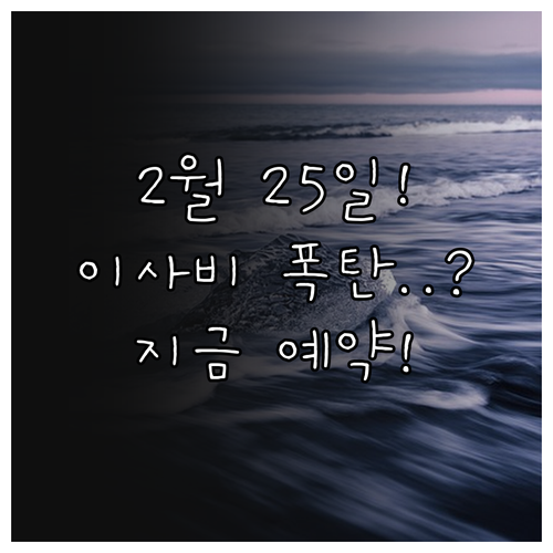 2026년 2월 25일 이사 비용 할..