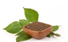 들깨 파종 시기, 이대로만 하면 풍성한 수확!