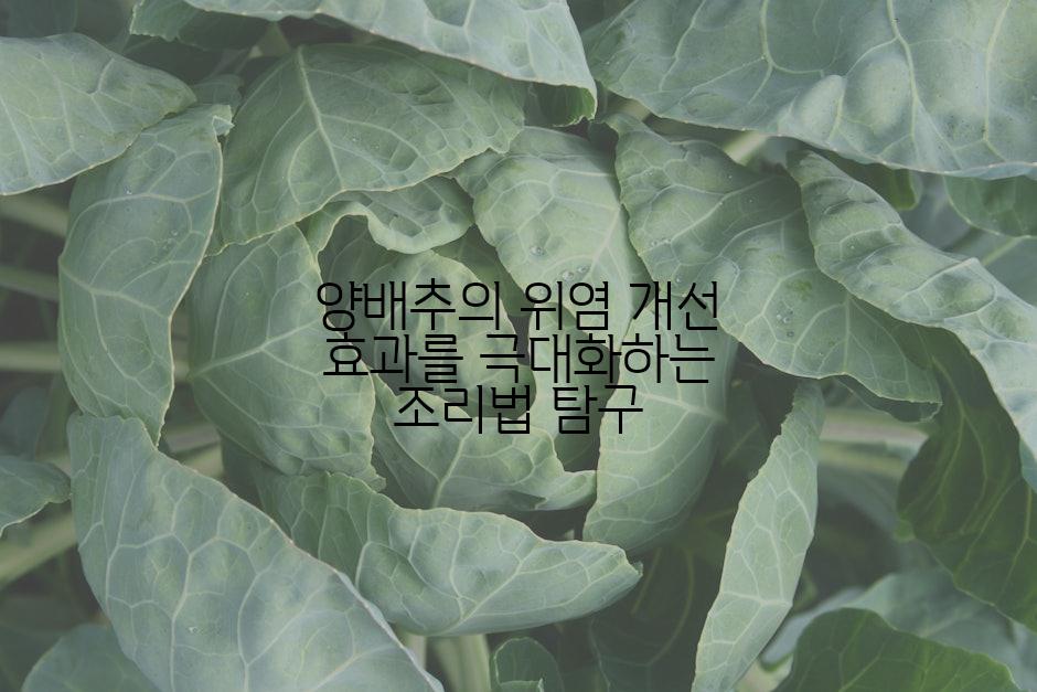 양배추의 위염 개선 효과를 극대화하는 조리법 탐구