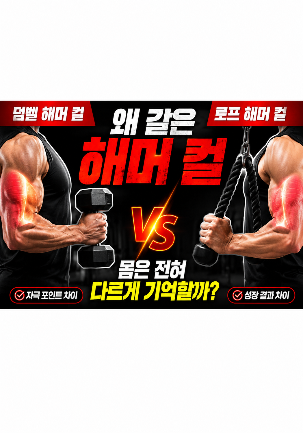 덤벨 해머 컬 vs 로프 해머 컬:왜 같은 해머 컬인데 몸은 전혀 다르게 기억할까