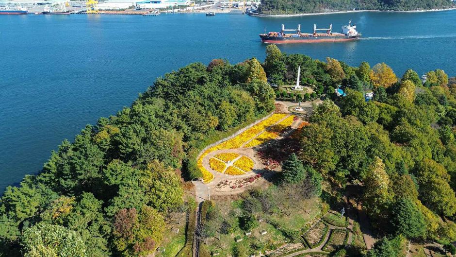 마산가고파 국화축제
