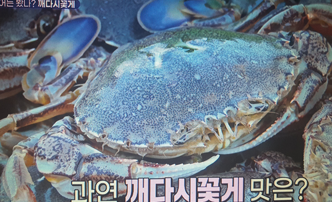 울산광역시 깨다시꽃게